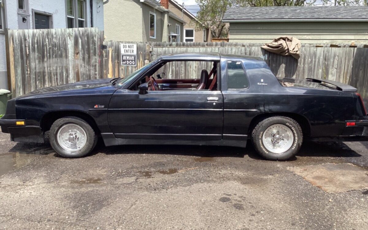 Oldsmobile-Cutlass-Coupe-1983-2