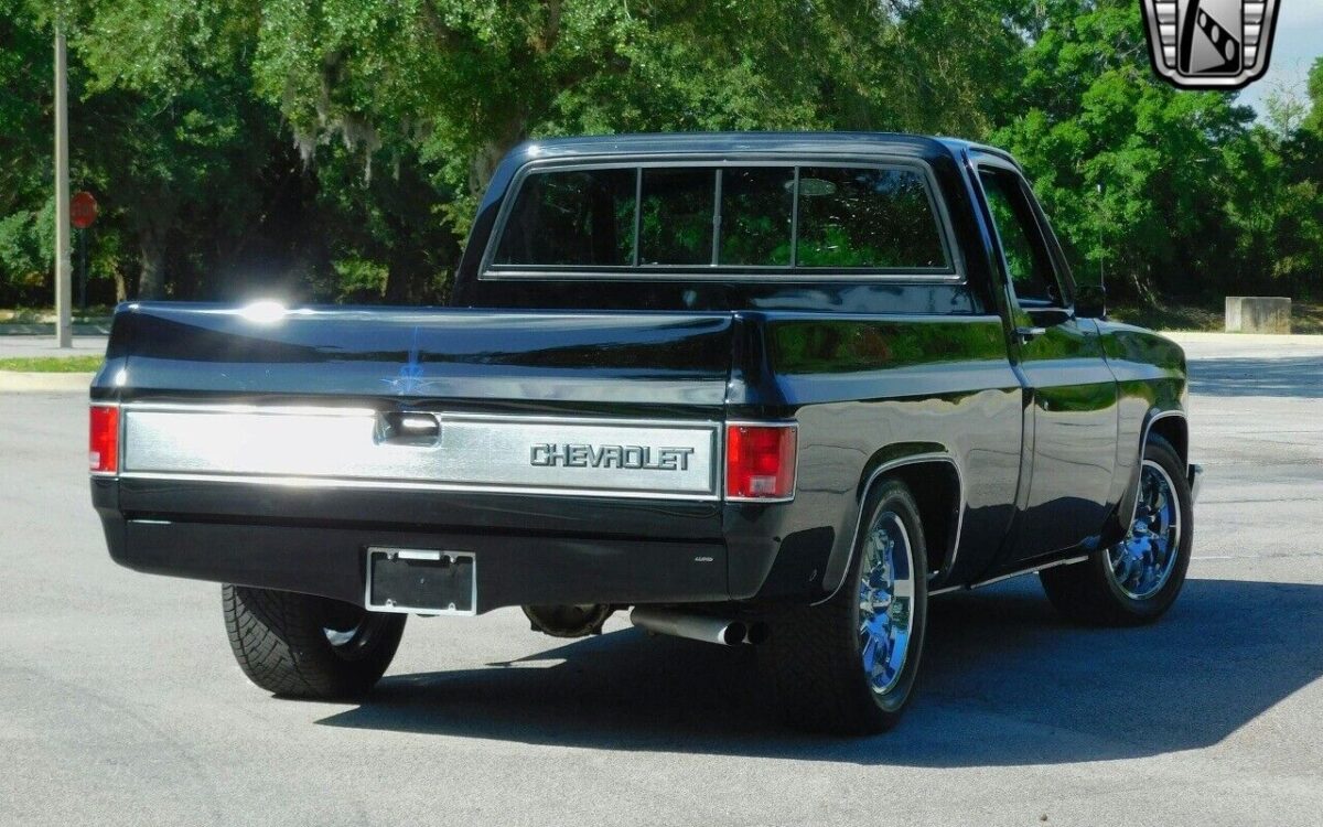 Chevrolet-C-10-1983-6