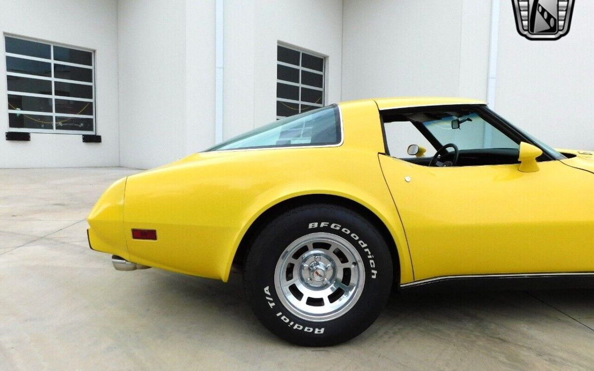 Chevrolet-Corvette-1978-9