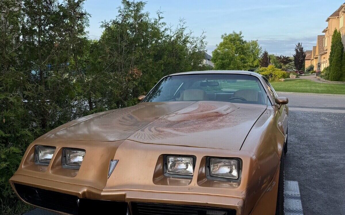 Pontiac Trans Am Coupe 1981