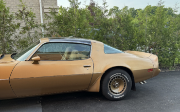 Pontiac-Trans-Am-Coupe-1981-2