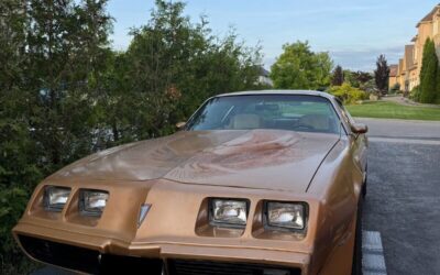 Pontiac Trans Am Coupe 1981 à vendre