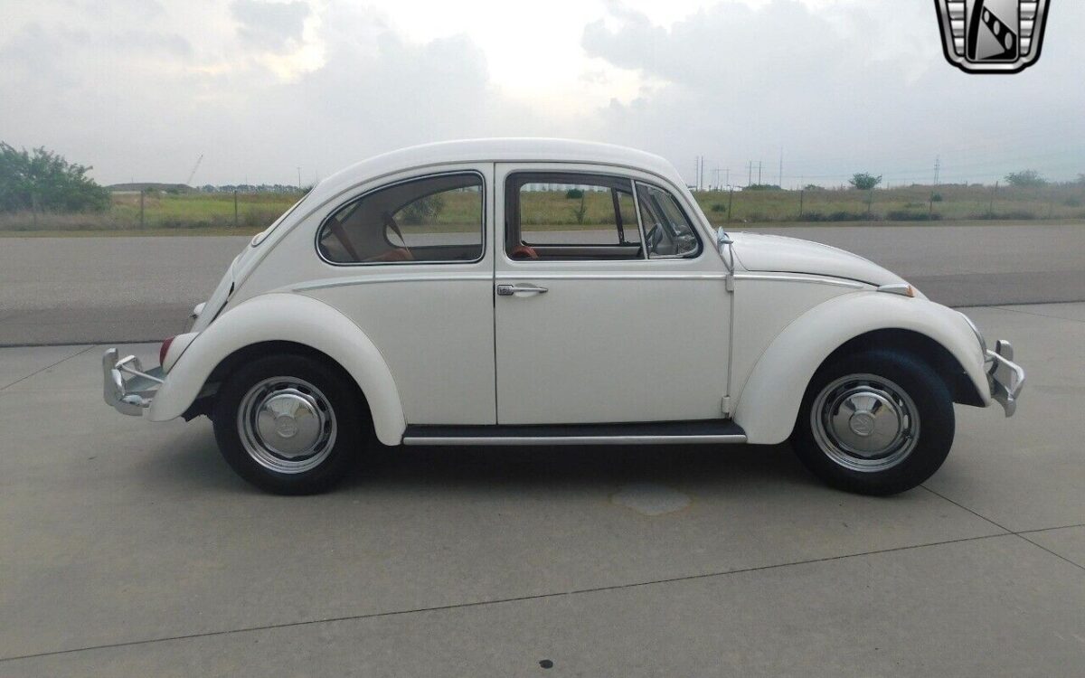 Volkswagen-Beetle-Classic-1966-3