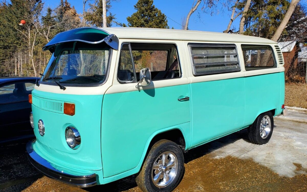 Volkswagen-BusVanagon-1974-5