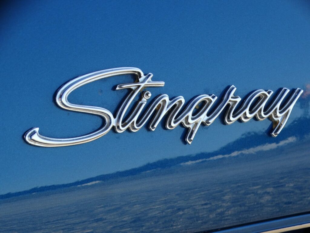 Logo Stingray