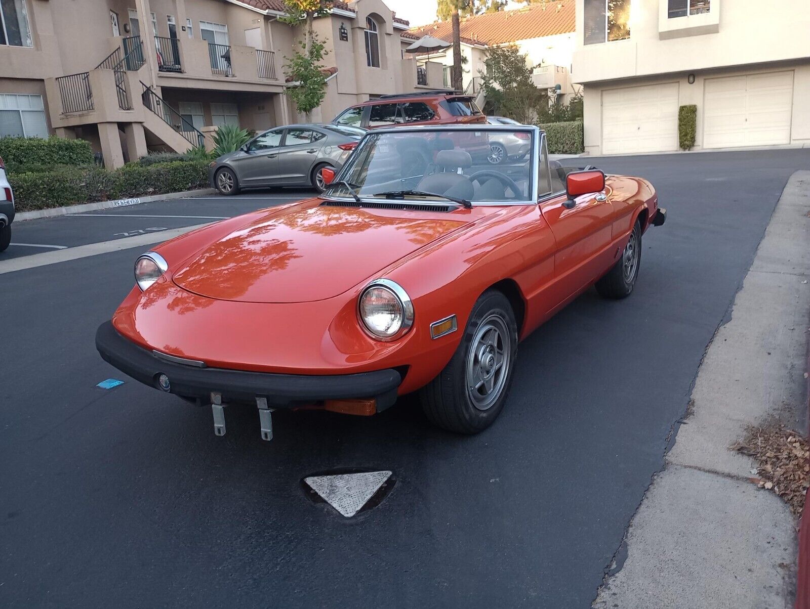 Alfa Romeo Spider Cabriolet 1982 à vendre