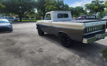 Chevrolet-C-10-1965-3