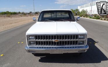 Chevrolet-C-10-1982-2