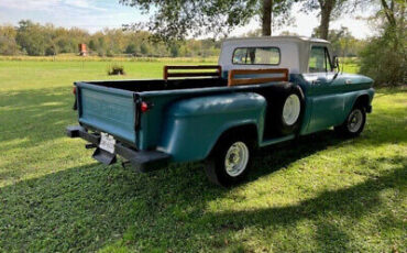 Chevrolet-C-10-Pickup-1965-6