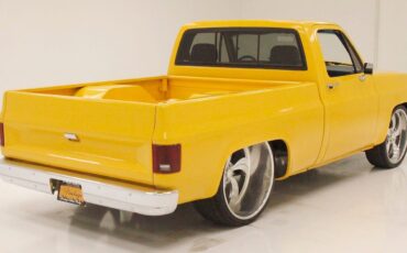 Chevrolet-C-10-Pickup-1980-6