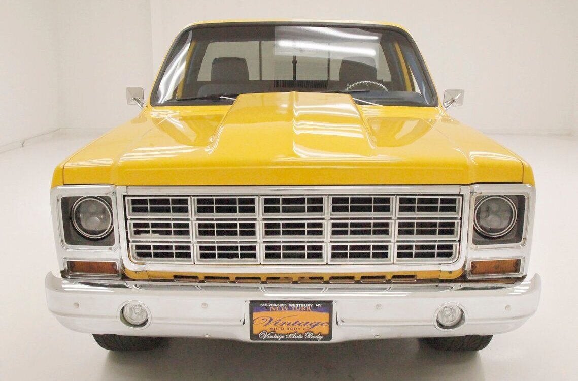Chevrolet-C-10-Pickup-1980-9
