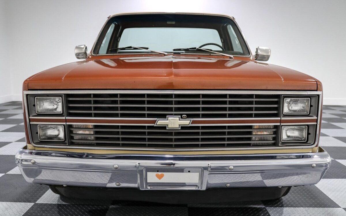 Chevrolet-C-10-Pickup-1983-1