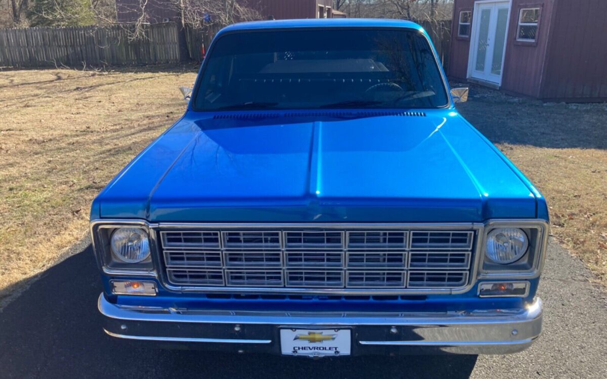 Chevrolet-CK-Pickup-1500-1981-3