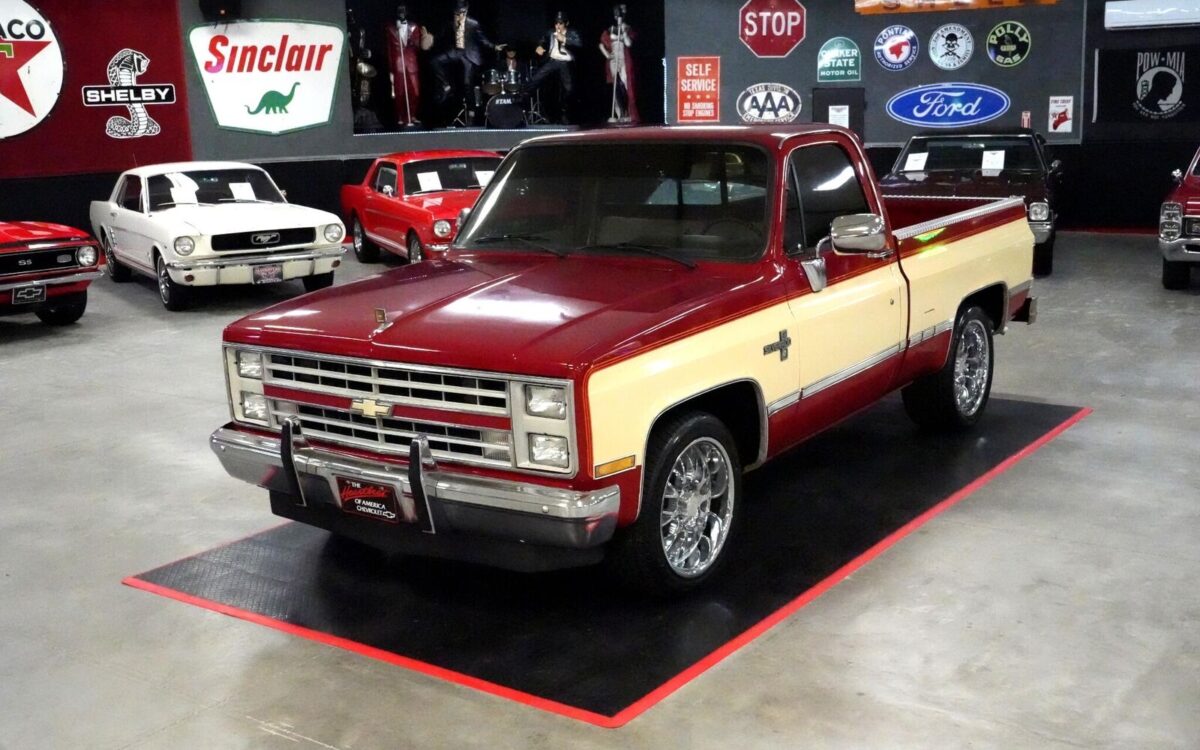 Chevrolet-CK-Pickup-1500-Pickup-1987-19