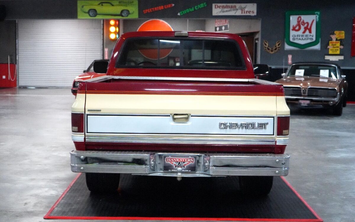 Chevrolet-CK-Pickup-1500-Pickup-1987-5