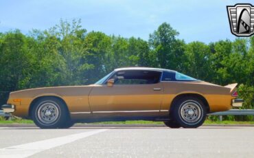 Chevrolet-Camaro-Coupe-1976-4