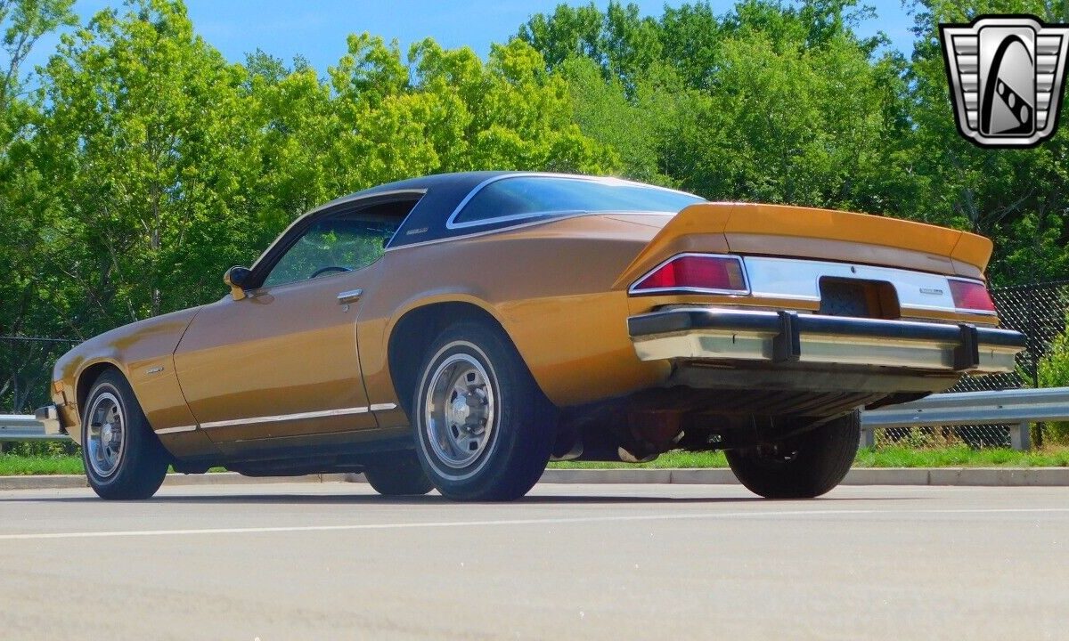 Chevrolet-Camaro-Coupe-1976-5