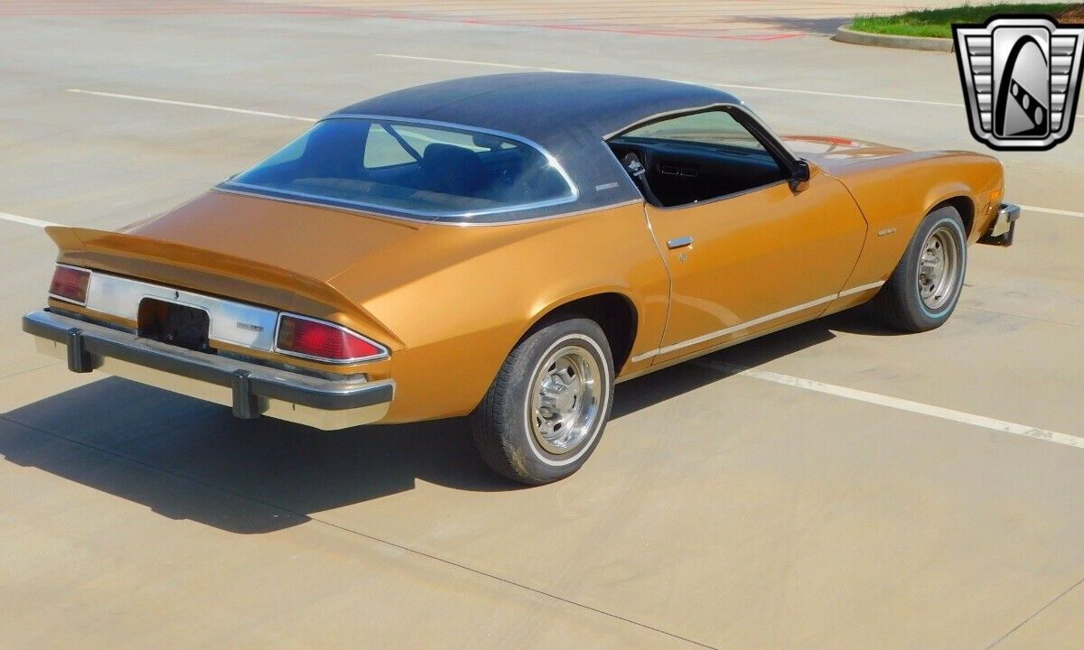 Chevrolet-Camaro-Coupe-1976-7