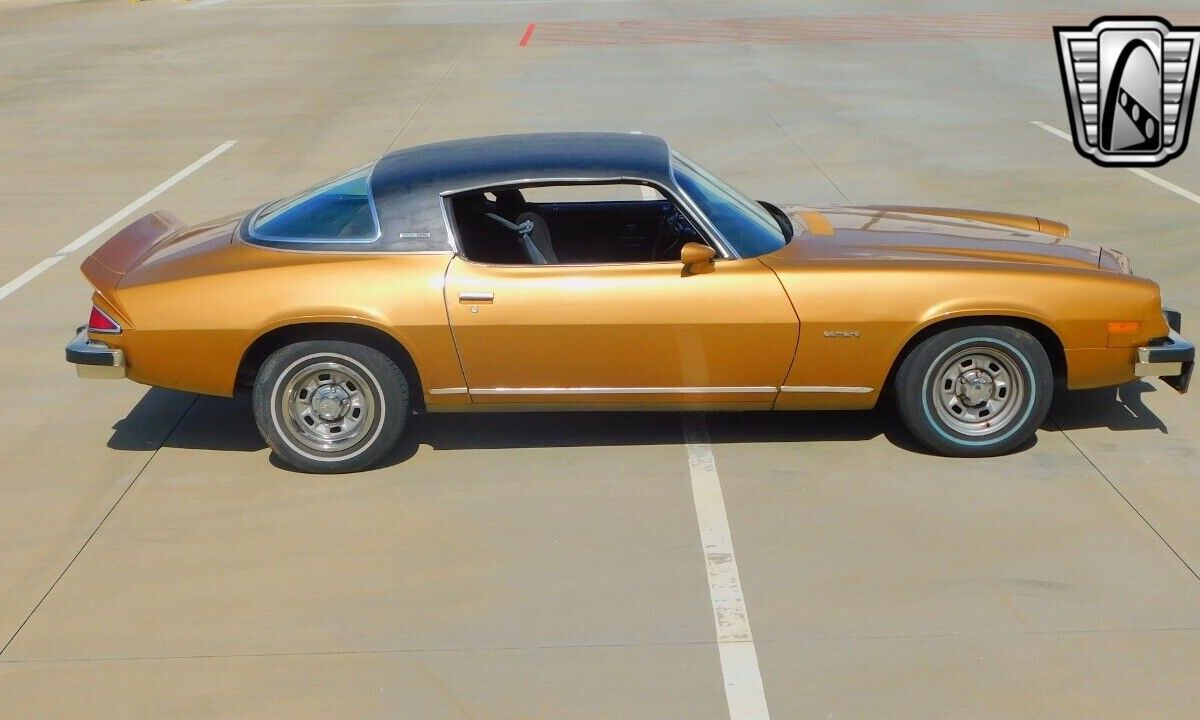 Chevrolet-Camaro-Coupe-1976-8