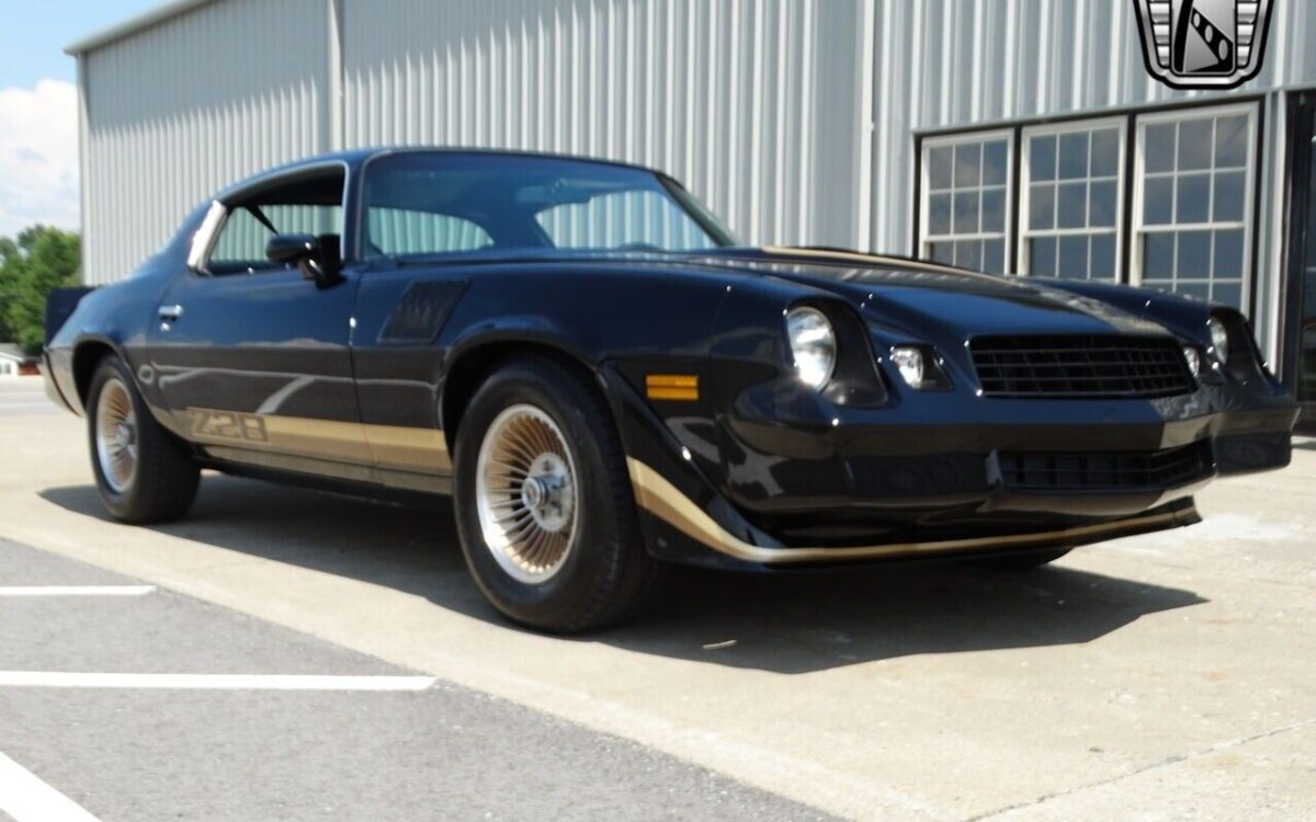 Chevrolet-Camaro-Coupe-1979-8