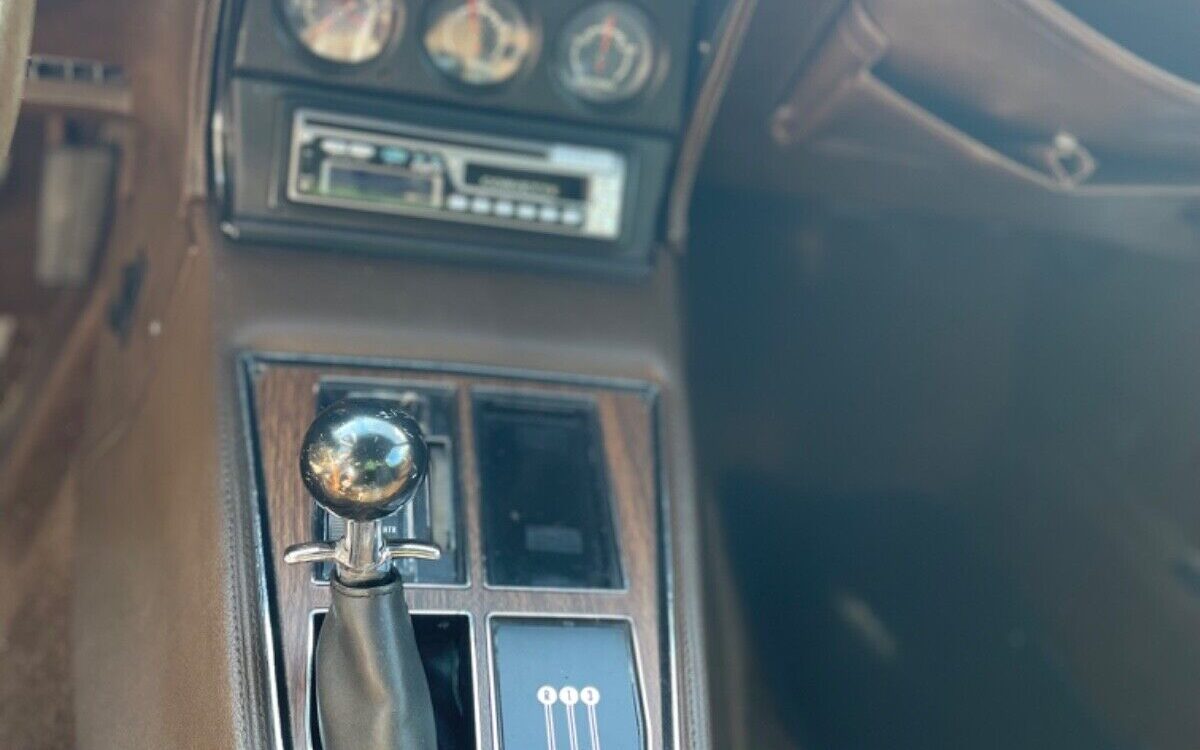 Chevrolet-Corvette-Coupe-1976-6