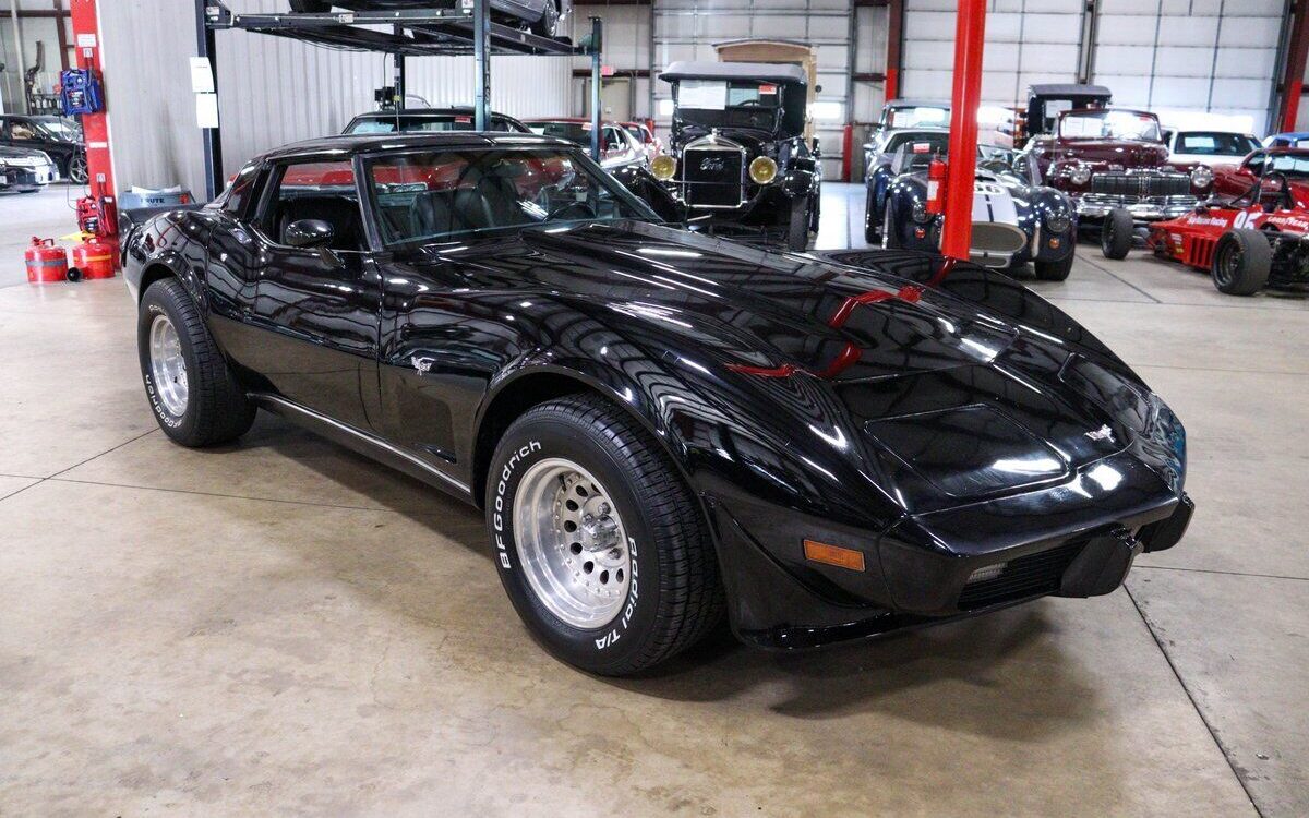 Chevrolet-Corvette-Coupe-1979-10