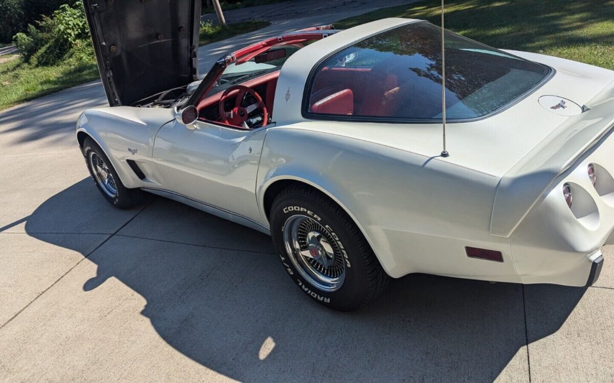 Chevrolet-Corvette-Coupe-1979-4