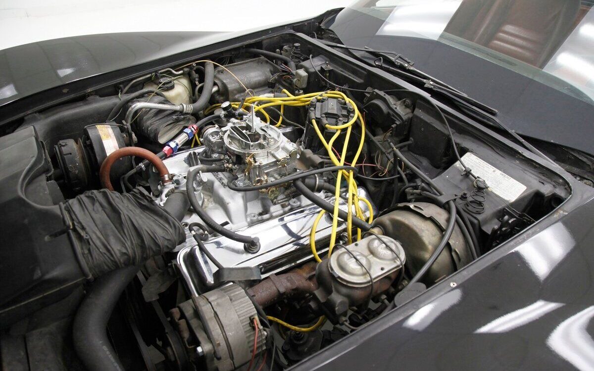 Chevrolet-Corvette-Coupe-1979-9