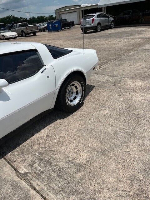 Chevrolet-Corvette-Coupe-1981-16