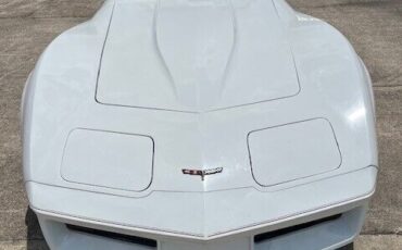 Chevrolet-Corvette-Coupe-1981-18