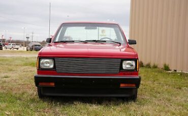 Chevrolet-Custom-Pickup-1989-6