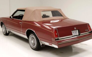 Chevrolet-Monte-Carlo-Cabriolet-1983-2