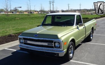Chevrolet-Other-Pickups-1970-3