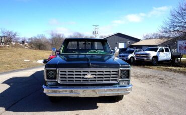 Chevrolet-Other-Pickups-1975-10