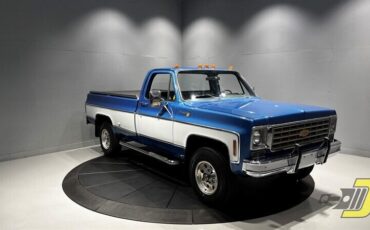 Chevrolet-Other-Pickups-1975-12