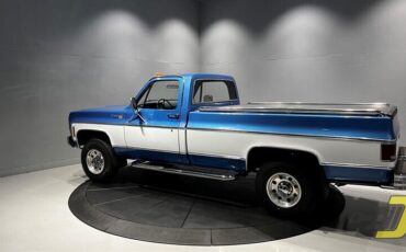 Chevrolet-Other-Pickups-1975-3