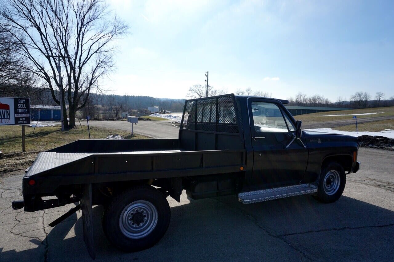 Chevrolet-Other-Pickups-1975-6