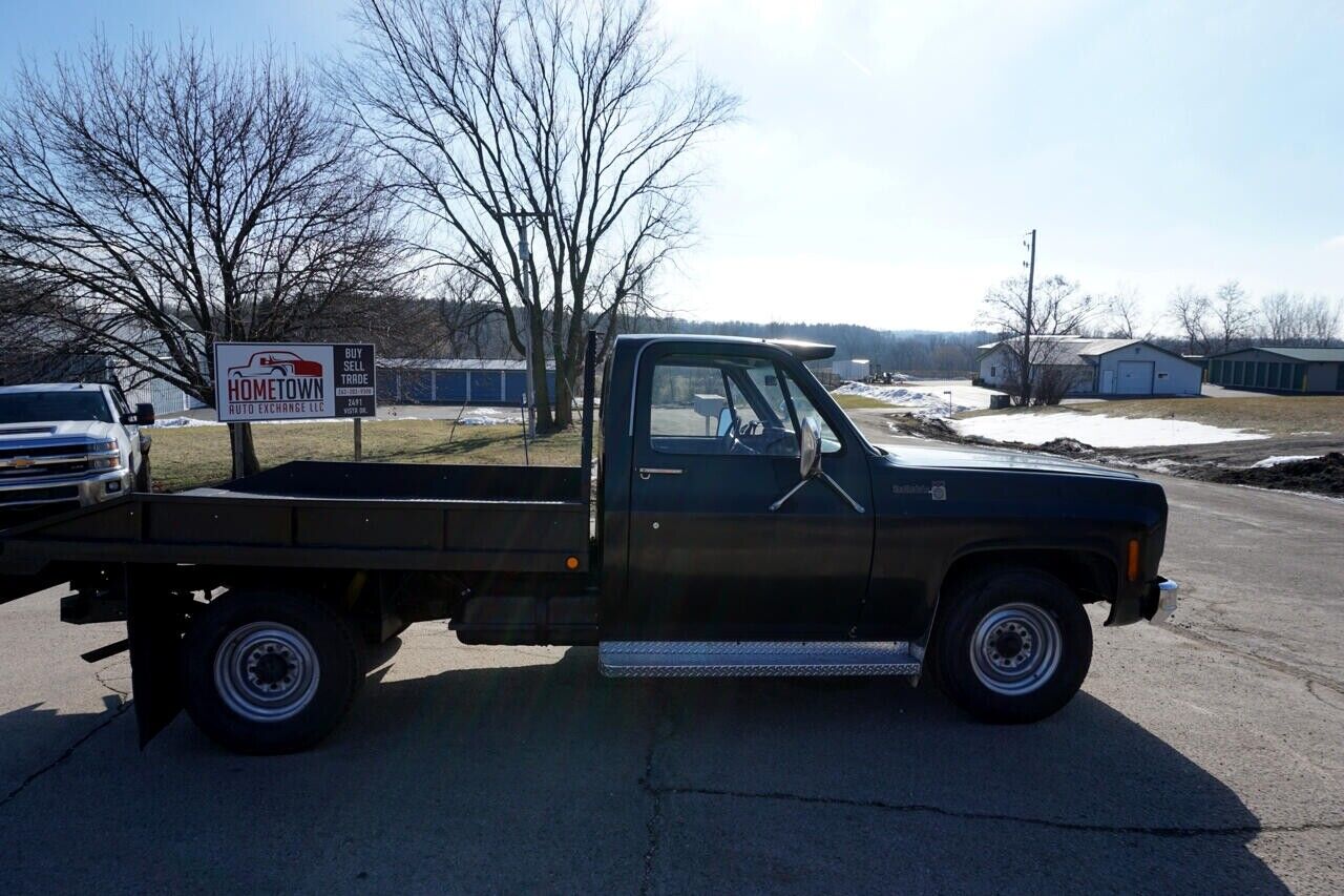 Chevrolet-Other-Pickups-1975-7