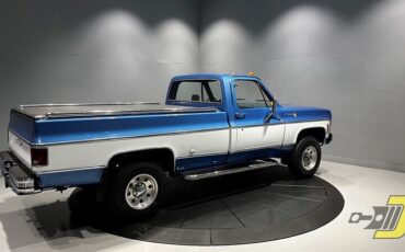 Chevrolet-Other-Pickups-1975-8