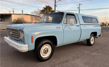 Chevrolet-Other-Pickups-1976-1