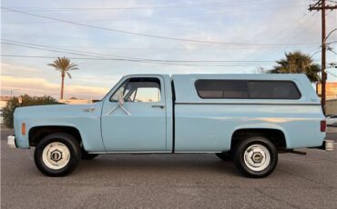 Chevrolet Other Pickups  1976