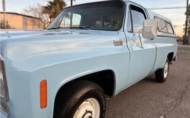 Chevrolet-Other-Pickups-1976-4