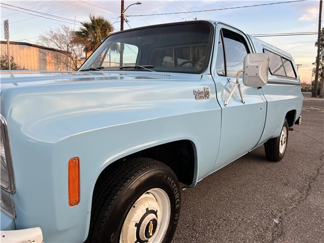 Chevrolet-Other-Pickups-1976-4
