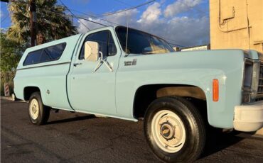 Chevrolet-Other-Pickups-1976-6