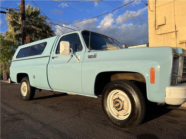 Chevrolet-Other-Pickups-1976-6