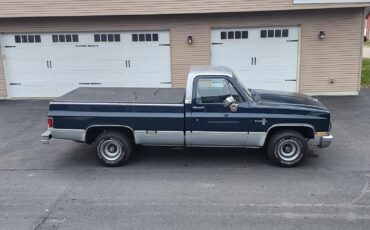 Chevrolet-Other-Pickups-1985-18