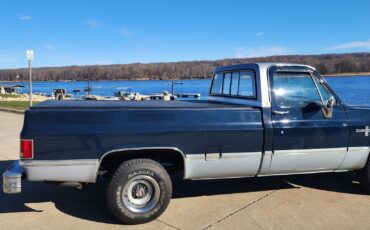 Chevrolet-Other-Pickups-1985-32