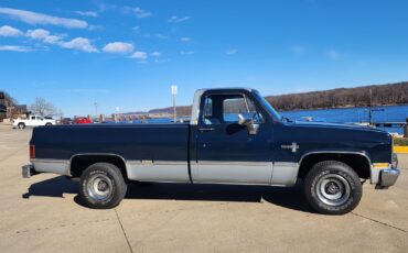 Chevrolet-Other-Pickups-1985-34