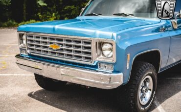 Chevrolet-Other-Pickups-Pickup-1976-10
