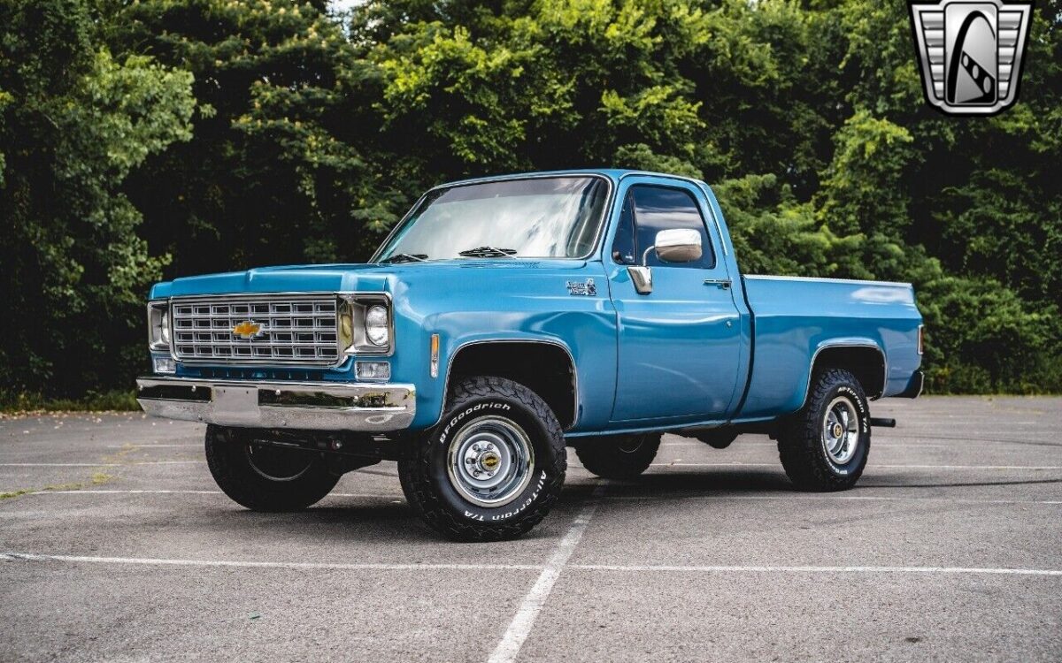 Chevrolet-Other-Pickups-Pickup-1976-2